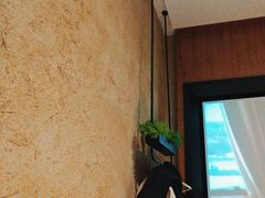 -新紫霞养生·影院足道·SPA(金山区店)