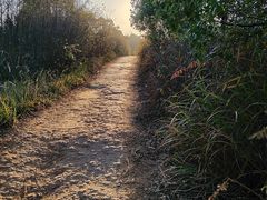 -桃花岭景区