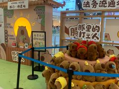 -凯德MALL(西直门店)