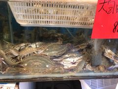 -开鑫鱼厂·宁波海鲜(前程智慧城店)