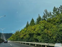 -blue frog蓝蛙(长泰广场店)