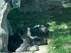 -北京野生动物园