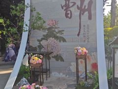 -曹州牡丹园