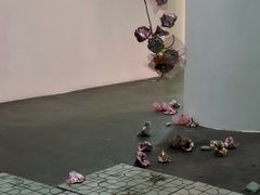 -上海外滩美术馆