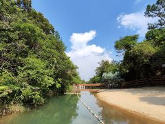 -广州白江湖森林公园