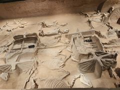 -洛阳周王城天子驾六博物馆