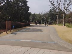 -黄兴公园