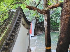 -北京鹫峰国家森林公园