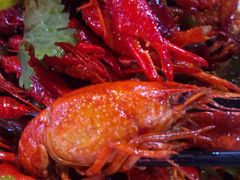 -虾弄弄海派小龙虾·牛羊蝎子火锅