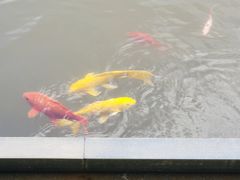 -景德镇中国陶瓷博物馆西山湖凯莱度假酒店