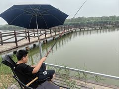 -西青郊野公园