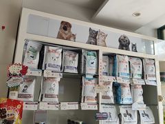 -瑞派·关忠动物医院·猫专科·犬专科(三环新城店)