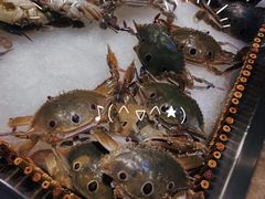 -吉布鲁牛排海鲜自助(成都大悦城店)