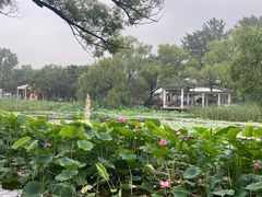 -北陵公园