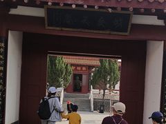 -神州牡丹园
