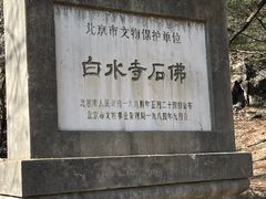 -白水寺森林公园