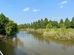 -宁波杭州湾国家湿地公园