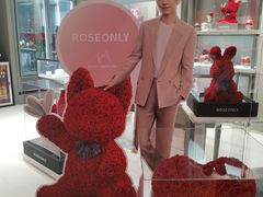 -ROSEONLY诺誓(广州K11店)