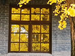 -四川大学(华西校区)