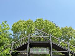 -天目湖山水园