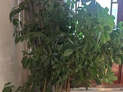 -豫丰汇河南名菜楼(武记餐饮)