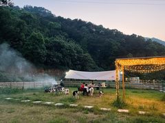 -趣多多宠物公园·宠物训犬学校·宠物寄养