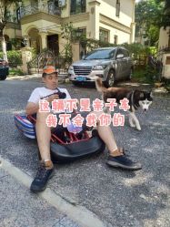 -速度小子卡丁车(基盛万科里店)