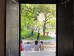 -顺峰山公园