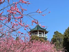 -无锡梅园公园