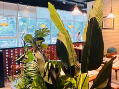 -三猫黑鱼花(南大店)