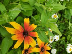 -国际非物质文化遗产博览园