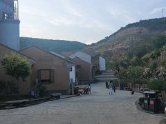 -五龙城郊森林公园