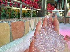 -兴芮温泉度假区