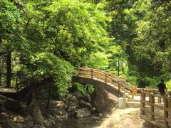 -花岩国家森林公园