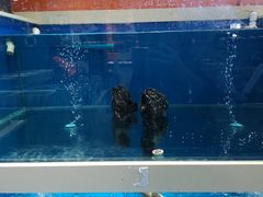 -渔乐圈海鲜餐厅(群力金江路店)