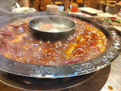 -重庆渝达老火锅(春熙路店)