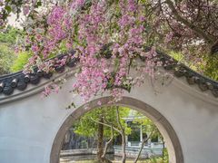 -深圳国际园林花卉博览园