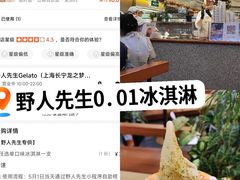 -野人先生Gelato(上海长宁龙之梦店)