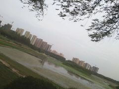 -丁香湖公园