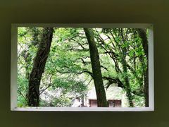 -宁波市保国寺古建筑博物馆