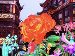 -豫园