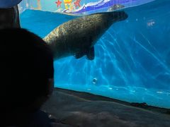 -常州海昌海洋探索馆