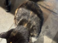 -古耳咖啡(北锣店)
