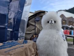 -Fergburger(皇后镇店)