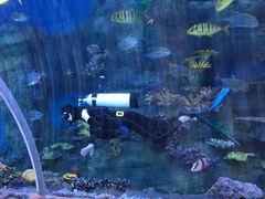 -华夏文旅海洋公园