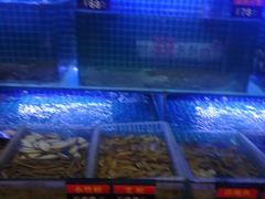 -西元前宠物酒店(郑庄府邸店)