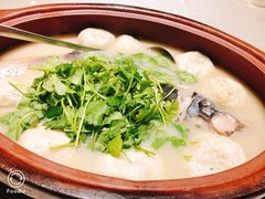 -天福苑(崇宁路店)