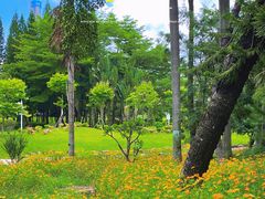 -荔枝公园(福田区)