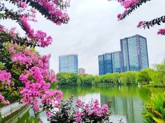 -杭州城北体育公园