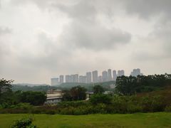 -广西壮族自治区药用植物园